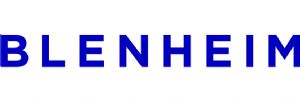 Image result for blenheim advocaten logo