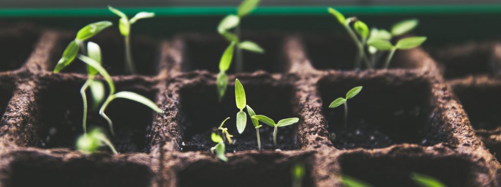 Data Republic website