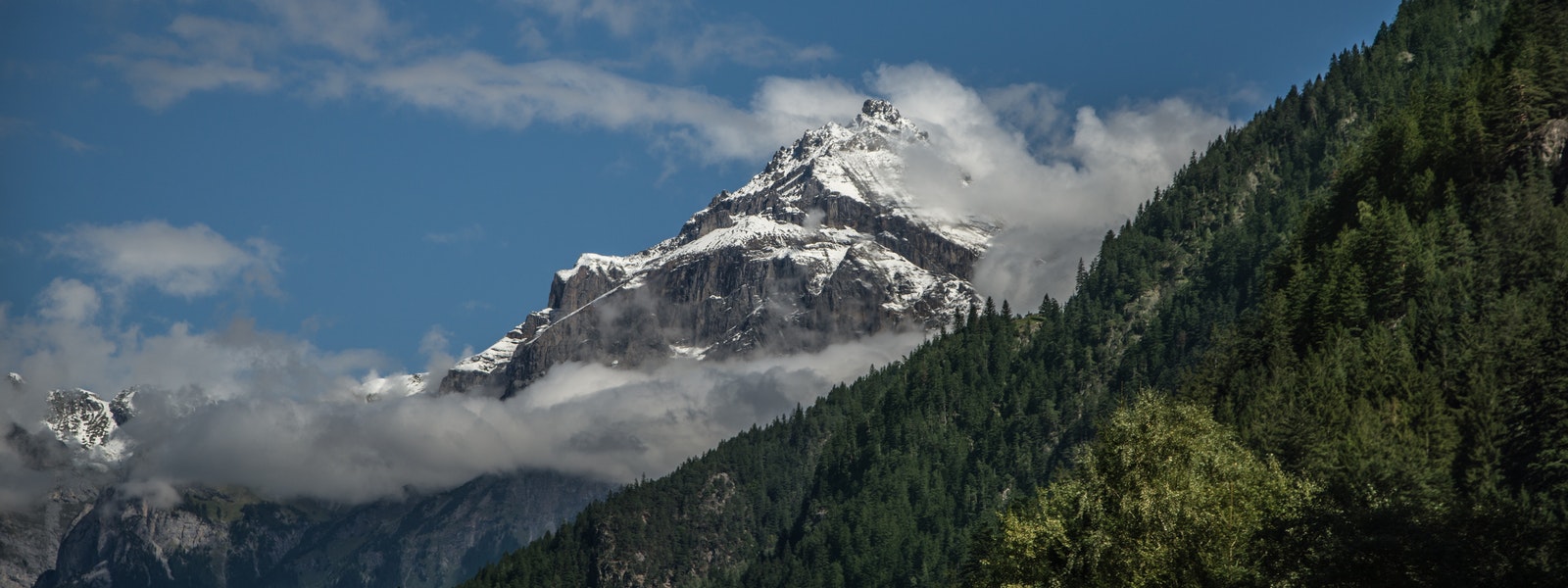 Data Republic website