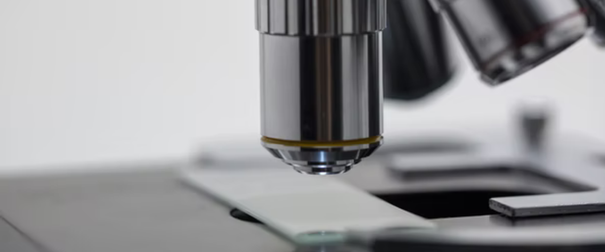 Weekly Research Highlights - 14 September 2021